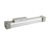 MY1B10 Stroke 100-900mm SMC Type Mechanically Combined Sliding Table with Guide Rail Rodless Cylinder(900mm Stroke)