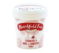 MyAfricaStore Marshfield Strawberry Champagne Sorbet 125ml 12x125ml