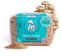Mycelium Sterilized 3 LB Mushroom Grain Spawn Bag | Organic 60/40 Millet & Milo Blend for Fast Growth & High-Yield | |Ready-To-Use with Self-Healing Injection Port & Cultivation Enhancer | Made in USA
