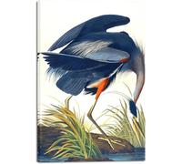 MYCGGDGH Canvas Print Wall Art Great Blue Heron by John James Audubon Vintage Poster Birds Wall Art for Living Room Home Kitchen Decorations 75x50cm(30x20in) Frame
