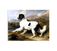 MYCGGDGH Edwin Landseer Canvas Print Wall Art Lion' a Newfoundland Dog Painting on Canvas edwin landseer Poster Picture for bedroom living room artwork wall decor42x30cm(17x12in) Frameless