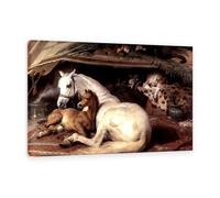 MYCGGDGH Edwin Landseer Canvas Print Wall Art The Arab Tent Painting on Canvas edwin landseer Poster Picture for bedroom living room artwork wall decor120x80cm(47x31in) Framed