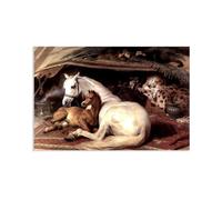 MYCGGDGH Edwin Landseer Canvas Print Wall Art The Arab Tent Painting on Canvas edwin landseer Poster Picture for bedroom living room artwork wall decor45x30cm(18x12in) Frameless