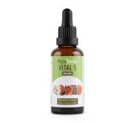 MycoTonics Vital 5 Mushroom Tincture 50ml | Mushroom Supplement | Mushroom Extract: Support for Your Immune System | Lion's Mane, Reishi, Chaga, Cordyceps & Turkey Mushroom Blend | Mushroom Drops