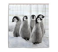MyDaily Cute Penguins Shower Curtain 72 x 72 Inch, Mildew Resistant & Waterproof Polyester Decoration Bathroom Curtain