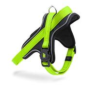 MyFamily Polyester Dog Harness, Made in Italy, Personal Data of Your Dog Always With You, Smartphone Connection with NFC Technology, Model Y, Memopet Collection (Size M/L)