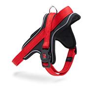 MyFamily Polyester Dog Harness, Made in Italy, Personal Data of Your Dog Always With You, Smartphone Connection with NFC Technology, Model Y, Memopet Collection (Size S)