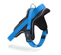 MyFamily Polyester Dog Harness, Made in Italy, Personal Data of Your Dog Always With You, Smartphone Connection with NFC Technology, Model Y, Memopet Collection (Size M)