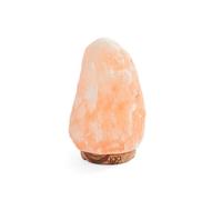 Myga Himalayan Salt Lamp - Hand-Carved Pink Himalayan Rock Salt Table Lamp with Dimmer Switch & Wooden Base - Decorative Bedside Lamp for Bedroom, Living Room, Meditation & Yoga (2-3kg)