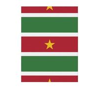 MYGANN Flag Of Suriname Lightweight And Warm 240g Facecloth Blanket For Bed Sofa Office Travel Home Decoration 50"X40"