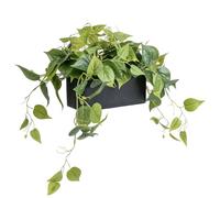 MyGift Artificial Pothos Vine Plant in Black Concrete Rectangular Planter, Lifelike Greenery for Home, Office, Table or Shelf Decor