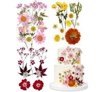 MYHOGOOD 36Pcs Wildflower Cake Toppers, Wildflower Theme Decor Pressed Flowers, Floral Cake Decoration for Women Wedding Baby Shower Birthday Baptism Party DIY Crafts (Color)