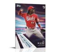 MYHRDF Elly De La CruzLiving Room Wall Art Waterproof Multifunctional Canvas Home Office UV Resistant Frameless PosterFrame-style08x12inch(20x30cm)