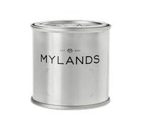 Mylands Colour Tester, 100ml Sample, Mint Street 95