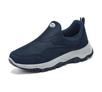 MYLLJBD Shoes Autumn Walking Shoes, Comfortable, Casual, Breathable, and Prevent Feet from Getting Stuffy -Male Blue-40