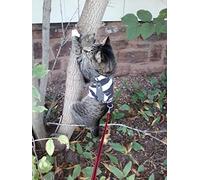 Mynwood Cat Jacket/Harness Arctic Combat Adult Cat
