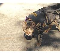 Mynwood Cat Jacket/Harness Novelty fabrics for Kittens or Adult Cats (Sergeant on Black, Adult Cat)
