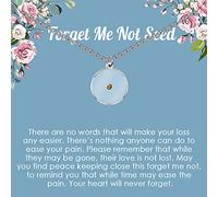 MYOSPARK Memorial Gift Forget Me Not Seed Necklace Message Card Jewelry Sympathy Gift Condolence Gift Remembrance Jewelry Grief Gift, Stainless Steel, copper