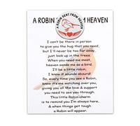 MYOSPARK Pocket Hug Robin Charm Token Bereavement Gift Sympathy Gift A Robin Sent From Heaven Condolences Card Letter from Heaven (UK A Robin Token)