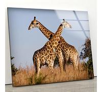 Myphotostation Giraffe Wall Art Tempered Glass Wall Art 60WX40H''Wild Animal Wall Art Modern Decor Glass Printing Large Wall Art Tempered Glass Panel African Elephant Safari Wall Decor