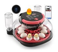 MYPIN 12-Egg Incubator with Camera & App Control, Smart Temperature Humidity Monitor, Automatic Turning for Hatching Chicken Duck Quail Pigeon Eggs - Farm Lab Science Classroom Home