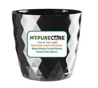 Mypurecore Plant Pots Durable Plastic With Glossy Crystal Surface - Indoor & Outdoor Planter For House Plants, Herbs (Black-25Cm)