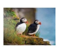 MyPuzzle Endangered Species - Atlantic Puffin - Premium 1000 Piece Jigsaw Puzzle for Adults
