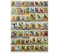 MyPuzzle State Birds Series: 50 State Birds Collage, Vol.1 - Premium 1000 Piece Jigsaw Puzzle for Adults