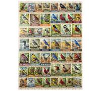 MyPuzzle State Birds Series: 50 State Birds Collage, Vol.1 - Premium 500 Piece Jigsaw Puzzle for Adults