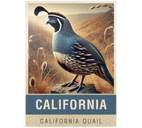 MyPuzzle State Birds Series: California, California Quail - Premium 1000 Piece Jigsaw Puzzle for Adults