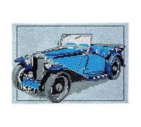 Myriad Choices Latch Hook Kits, DIY Latch Hook Rug Kit, Cross Stitch Rug Making Kit, Carpet Making Crochet Kits Embroidery Kits Needlework Crafts for Home Decor, 50X38CM, Pika