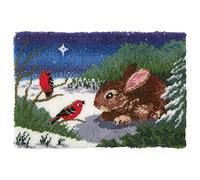 Myriad Choices Latch Hook Rug Kits, Home Carpet Rug Making Kits, DIY Crochet Kits Embroidery Kits Needlework Crafts for Home Decor, Latch Hook Kits for Beginners Kids Adults, 60 X 40 cm