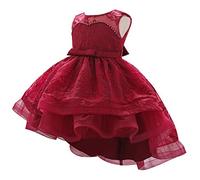 MYRISAM Baby Girls Flower Lace Embroidery High Low Dress 1st Birthday Christening Party Wedding Pageant Baptism Tutu Gown Deep Red 6-9M