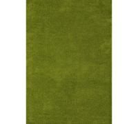 Myshaggy Solid Green Rug - 200X290 cm