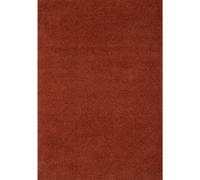 Myshaggy Solid Terra Rug - 200X290 cm