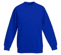 MyShoeStore Kids Sweatshirt Boys Girls Childrens Unisex Back to School Fleece Plain Jumper Crew Round Neck Pullover Uniform Shirt Lightweight PE Sweat Top (Royal Blue, 5-6 Years)