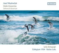 Leila Schayegh, Václav Luks, Collegium 1704 - Josef Myslivecek - Sinfonia & Overture