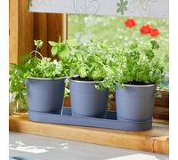 mysmartbuy.com 3 x Windowsill Herb Pots - Weather Resistant Powder Coated Metal Mini Kitchen or Garden Plant Pots with Drainage Holes & Tray - Slate Grey, Measures H10 x W35 x D11.5cm