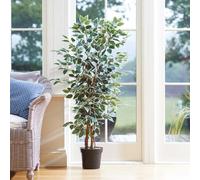 mysmartbuy.com Artificial Weeping Fig Plant - Faux Fake Realistic Foliage Low Maintenance Tall Green Houseplant Tree in Black Pot, Indoor Home Floral Decoration - Measures H130 x 30cm Diameter