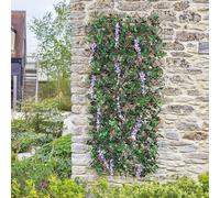mysmartbuy Faux Wisteria Trellis - Artificial Flower Garden Wall or Fence Decor in Green | Size: Medium mysmartbuy Green Medium