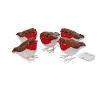 Inlit Ice Led Acrylic Robin Lights Set Of 5