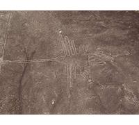 Mysteries In The Alien Desert