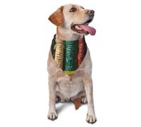 Mysterious abstract pen holder Stylish Pet Scarf for Dogs