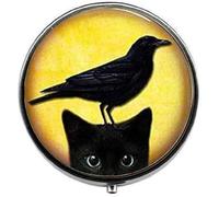 Mysterious Black Cat and Crow - Art Photo Pill Box - Charm Pill Box - Glass Candy Box
