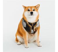 Mysterious Golden Symbol Pet Scarf Stylish Triangle Bid Scarf Bandana Pet Accessory,Washable Pet Kerchief for Girl Boy Dogs or Cats Large