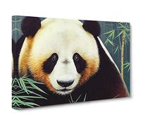 Mysterious Panda Canvas Print | Gallery Wrapped 30mm Frame Wall Art | 30x20 inches | Ready to Hang | Contemporary Animals Picture | Living Room Bedroom Lounge Office