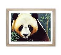 Mysterious Panda Framed Print | A4 Oak Framed Wall Art | Ready to Hang | Modern Animal Picture | Living Room Bedroom Lounge Office