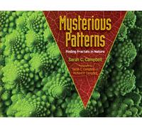Mysterious Patterns : Finding Fractals in Nature