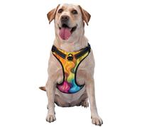 Mysterious Rainbow Flames reflective Oxford unobstructed pet vest, easy to control handle, suitable for small, medium and large dogs