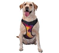 mysterious rainbow sky reflective Oxford unobstructed pet vest, easy to control handle, suitable for small, medium and large dogs